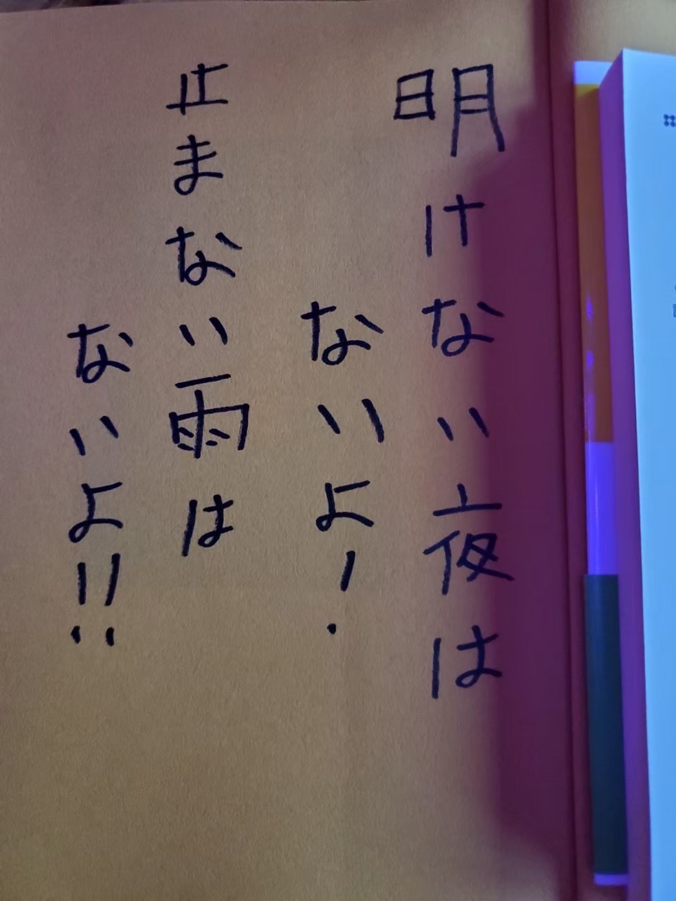 15202210271855470.jpg