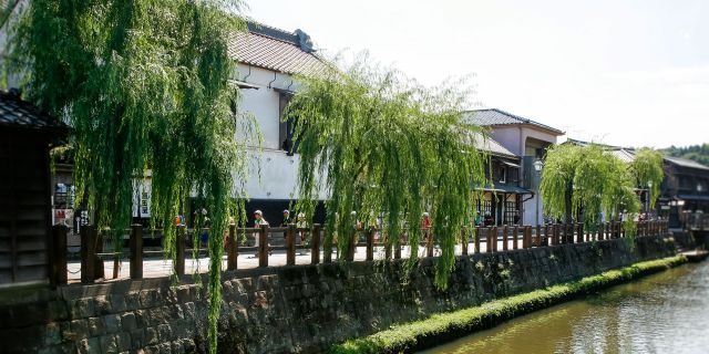 NIPPONIA SAWARA